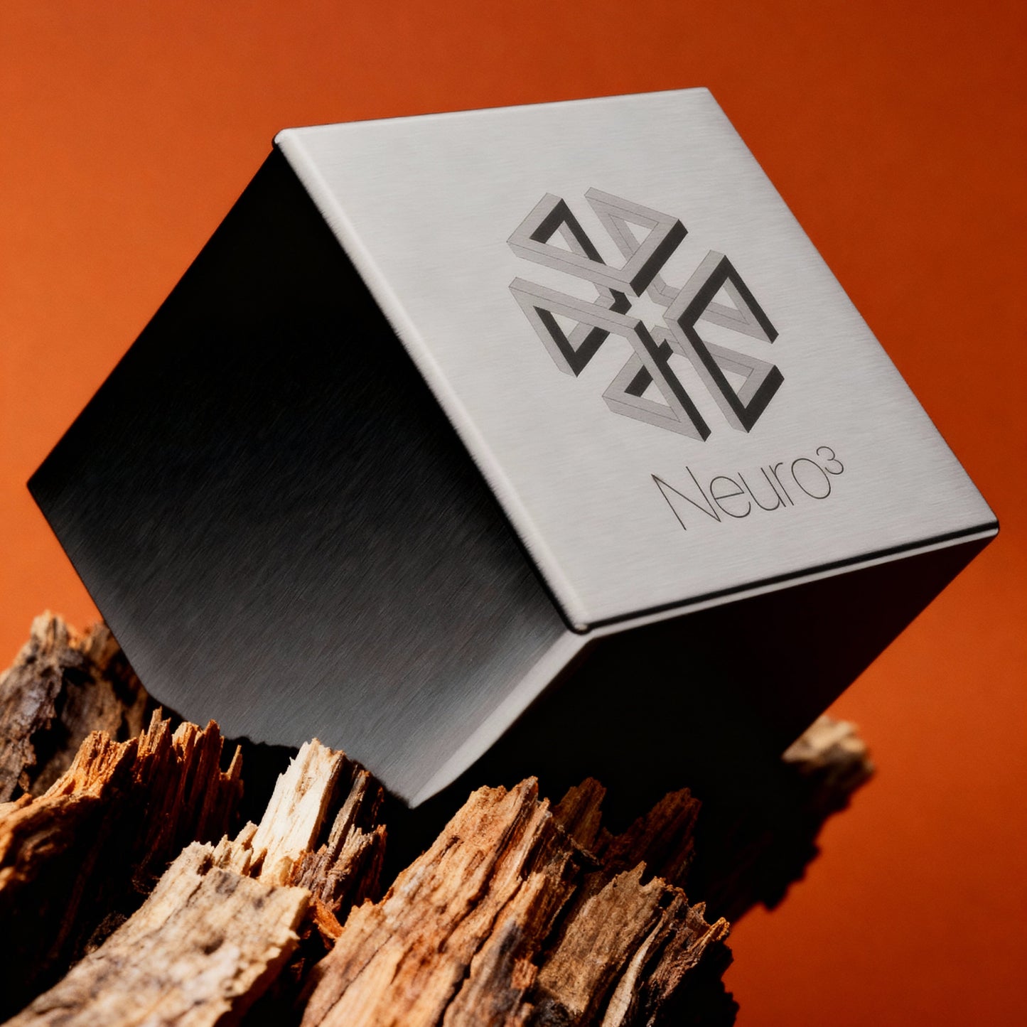Neuro³ Cube